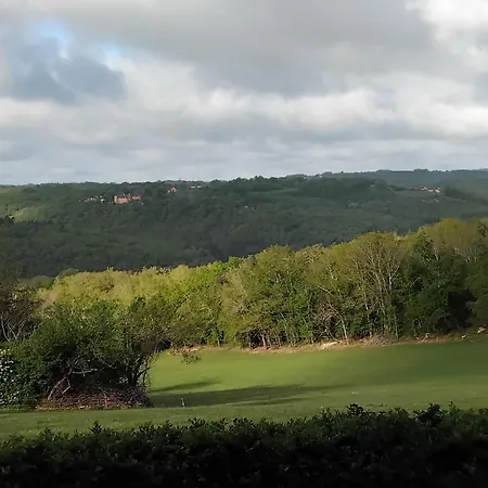 Camping Emplacement Calme Et Arbore *
