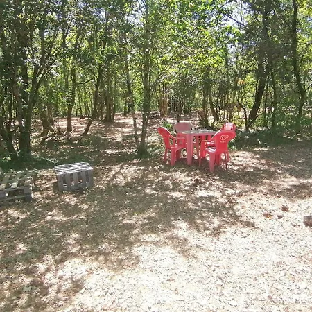 Emplacement Calme Et Arbore Camping Saint-Aubin-de-Nabirat